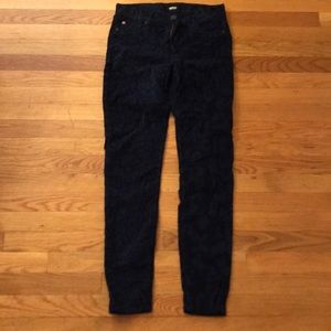 Size 28 Navy Velvet Leopard Skinnies